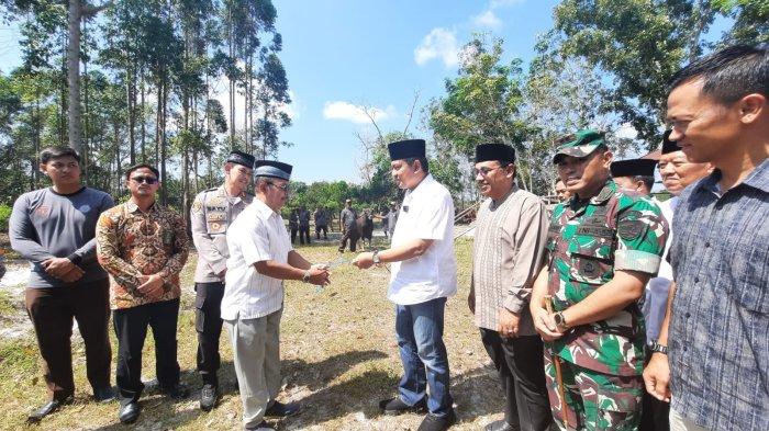 sapi kobar 1